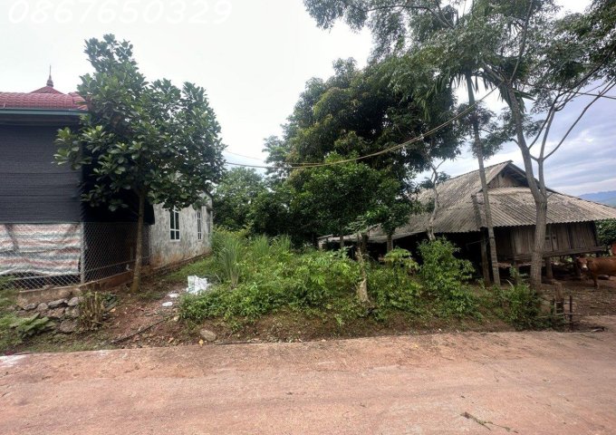 Chính chủ cần bán lô full thổ cư, giá đầu tư , Xã Đông Lai, Tân Lạc, Hòa Bình