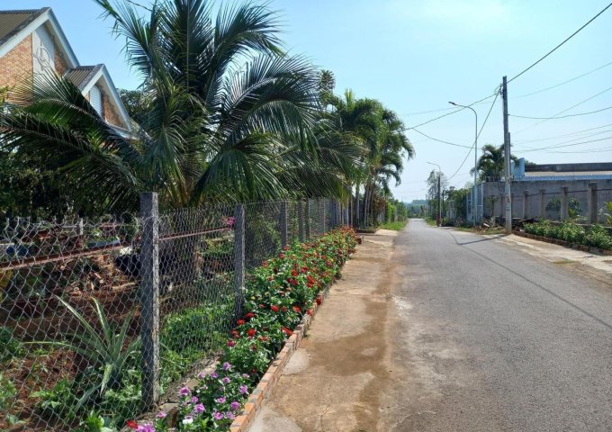 Bán đất đường số 33, Xã Nghĩa Thành, Huyện Châu Đức, tỉnh Bà Rịa Vũng Tàu.