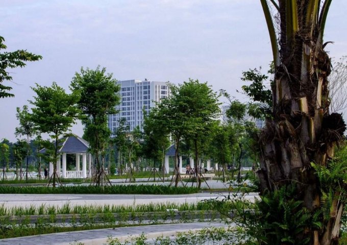Bán đất phố Ngô Gia Tự, Trường Lâm, ngõ ô tô thông, 56m2, nhỉnh 4 tỷ
