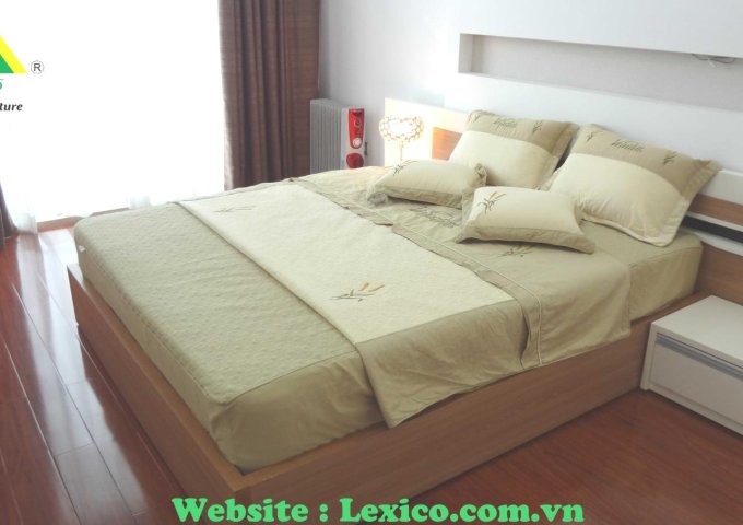 Cho thuê căn hộ 2 phòng ngủ tại TD plaza