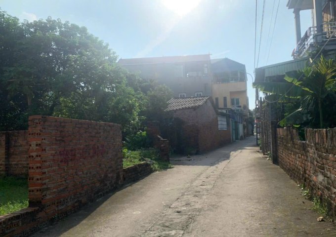 Bán đất tại Đường Lương Quy, Đông Anh,  Hà Nội diện tích 65m2  giá 2 Tỷ