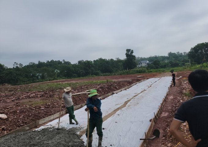 Cần bán đất tại KCN Điềm Thuỵ - Phú Bình - Thái Nguyên