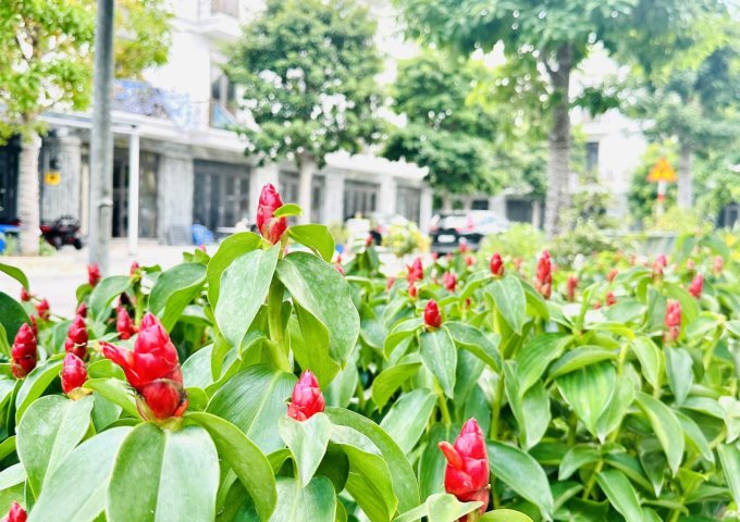 Bán nhà riêng 72m2 chính chủ tại Dĩ An Bình Dương