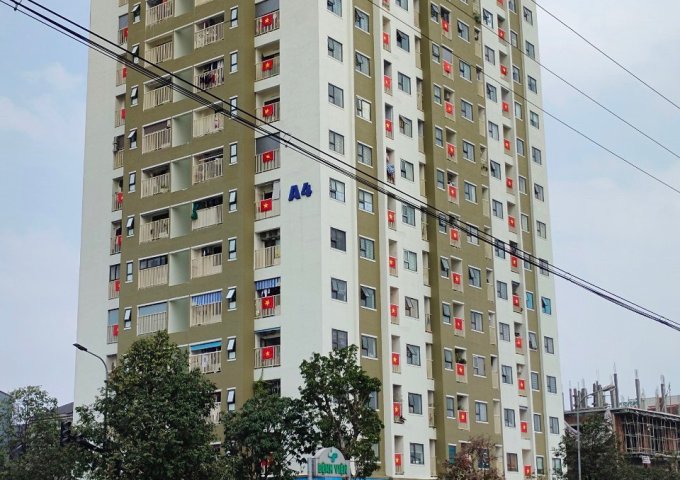 Cần cho thuê sàn thuê sàn và căn hộ kinh doanh tại các vị trí  tại Thành phố Vinh, tỉnh Nghệ An