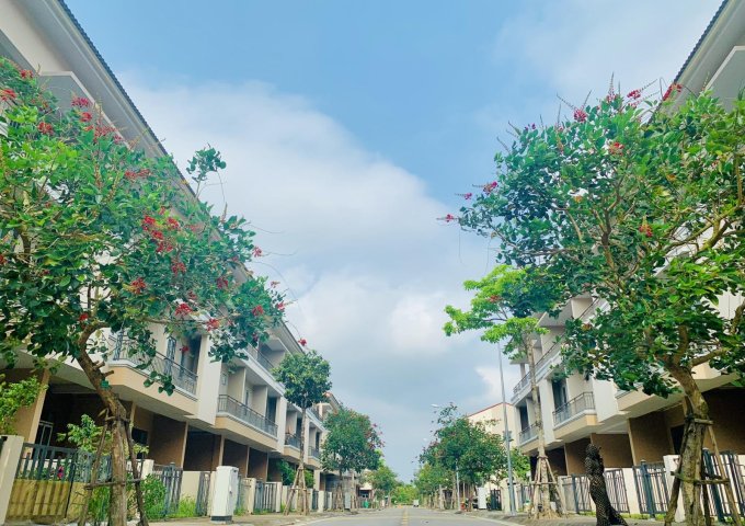 Cho thuê nhà ngay cửa ngõ Vinhomes Vũ Yên