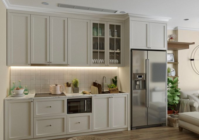 CHỦ CẦN BÁN CĂN SKY OASIS-ECOPARK