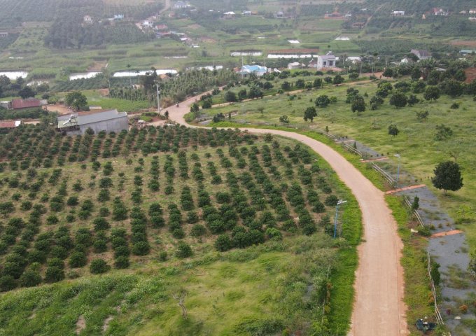 Đất vườn Gia Thọ Village - Bất động sản sinh thái khác biệt tại Lâm Hà