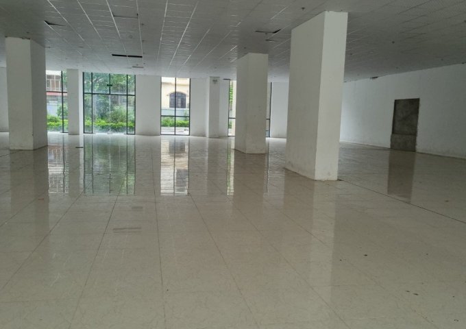 Cho thuê văn phòng và thương mại DT 2000m2 tại Hoành Sơn Complex 282 Nguyễn Huy Tưởng Thanh Xuân