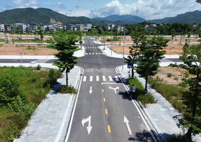 Dự án HUDS Bắc Giang-Thái Đào Residence mặt đường QL31
