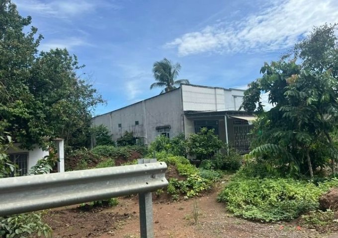 Cần bán đất lăng minh 1sao hơn có 50m mặt tiền tỉnh Lộ 765 đất full Hồng full thổ Cư