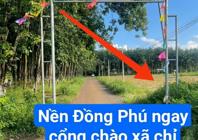 Bán đất tại Xã Thuận Lợi, Đồng Phú, Bình Phước diện tích 180m2 giá 400 Triệu