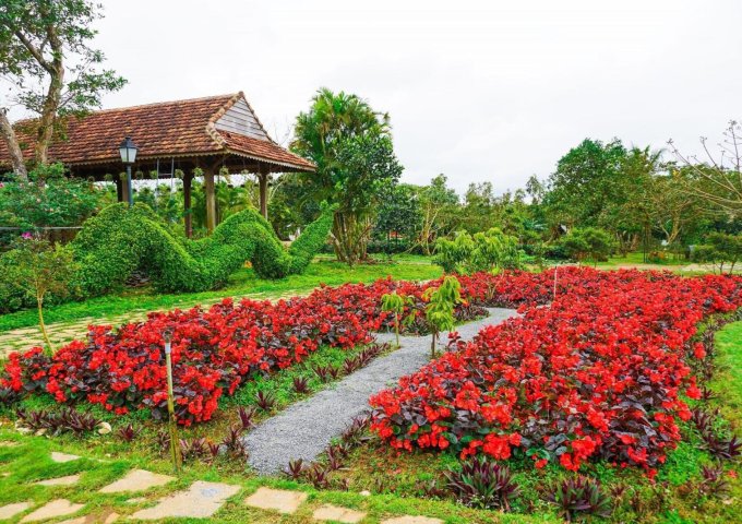Bán Gấp 4,6ha Khu Du Lịch Cao Nguyên Vân Hòa, View Hồ, đang kinh doanh 80-100 triệu/tuần