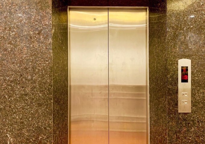 Bán gấp tòa nhà 8 tầng 123m2 phố Trần Quang Diệu – Hoàng Cầu thông sàn, thang máy cho thuê, KD tốt