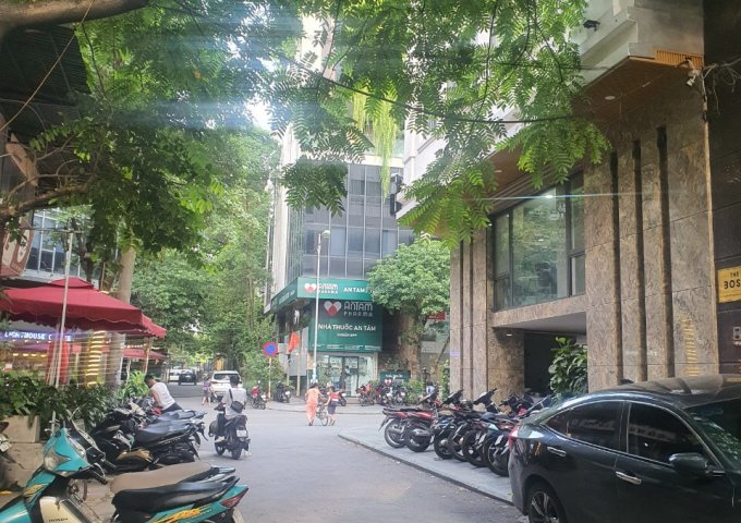 Bán gấp tòa nhà 8 tầng 123m2 phố Trần Quang Diệu – Hoàng Cầu thông sàn, thang máy cho thuê, KD tốt