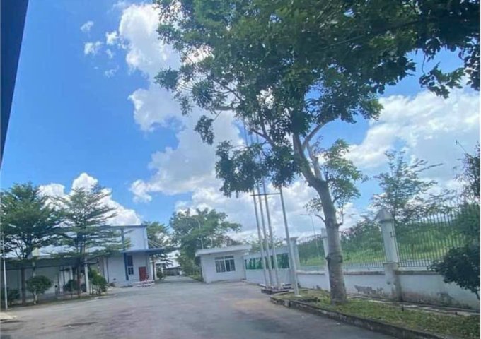 Kho chung chuyển, kho lưu trự hàng hóa KCN Hiệp Phước, Giấy tờ đầy đủ, bàn giao ngay