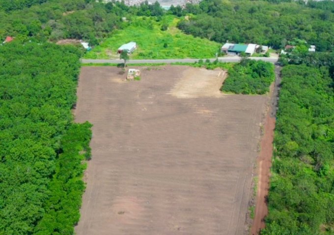 Bán đất tại Đường DH504, Phú Giáo,  Bình Dương giá 320 Triệu **CÔ EM gửi bán miếng đất 2000m giá 320 triệu**