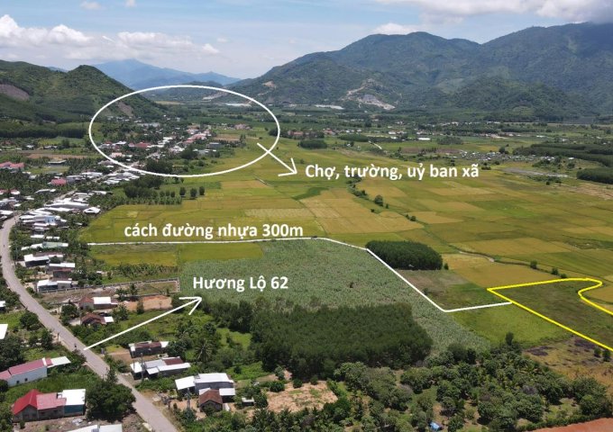 bán đất view đồng lúa đẹp 5.000m thích hợp làm Homestay đường oto xã Diên Tân, Diên Khánh 