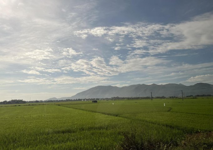 bán đất view đồng lúa đẹp 5.000m thích hợp làm Homestay đường oto xã Diên Tân, Diên Khánh 