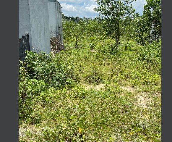 Chính chủ cần bán nhanh lô đất đẹp tại xã Thiện Tân Vĩnh Cửu, Đồng Nai