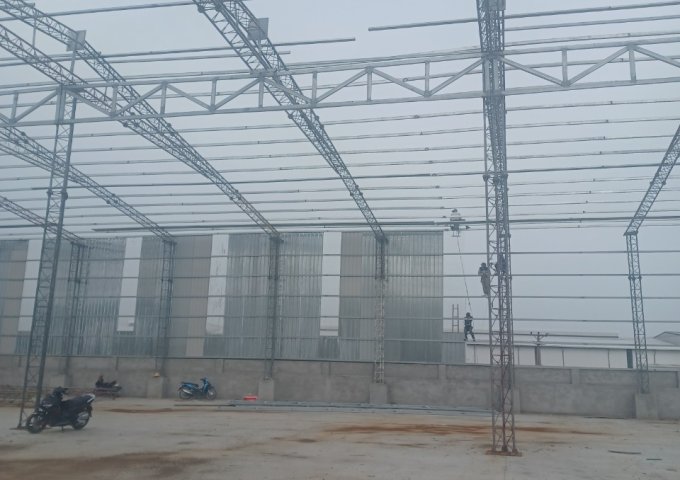 Chính chủ cho thuê Kho Xưởng mới xây dựng tại thôn Đông Mai, Xã Chỉ Đạo,huyện Văn Lâm, Hưng Yên