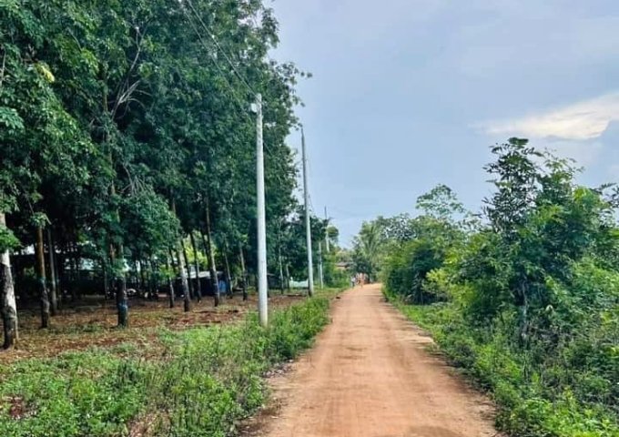 Bán đất tại Đường 322, Đồng Phú,  Bình Phước diện tích 2,000m2  giá 250 Triệu