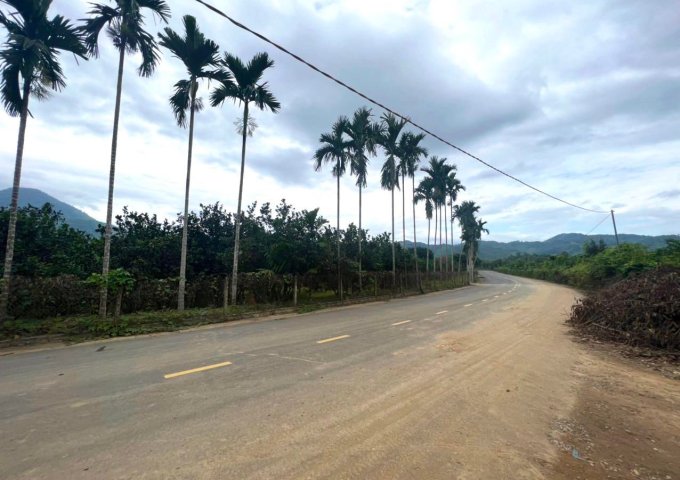 bán đất xã Khánh Phú quy hoạch full thổ cư 5.500m2 gần cổng kdl Thác YangBay giá rẻ LH 0788.558.552