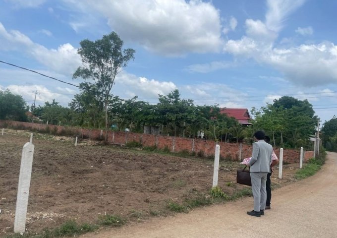  Bán đất tại Xã Sơn Phước, Sơn Hòa, Phú Yên diện tích 500m2 giá 289,000,000 Triệu