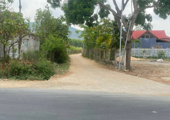  Bán đất tại Đường Quốc lộ 25, Sơn Hòa, Phú Yên diện tích 500m2 giá 289,000,000 Triệu