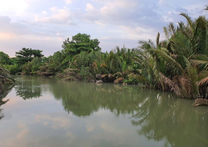 Đất Vườn Mặt Sông Long Phước 4.600m2 2MT Khu VIP Giá 10tr/m2