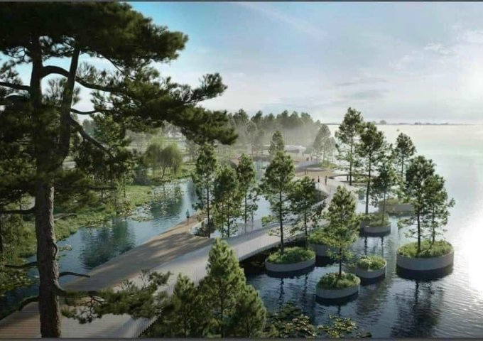 Đất Vườn Mặt Sông Long Phước 4.600m2 2MT Khu VIP Giá 10tr/m2