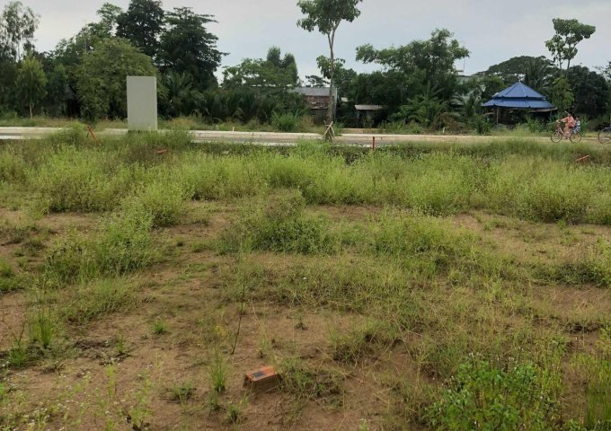 Chính Chủ Bán 110m2 Đất Sổ Hồng Riêng Mt Trung Tâm Cần Đăng- An Giang