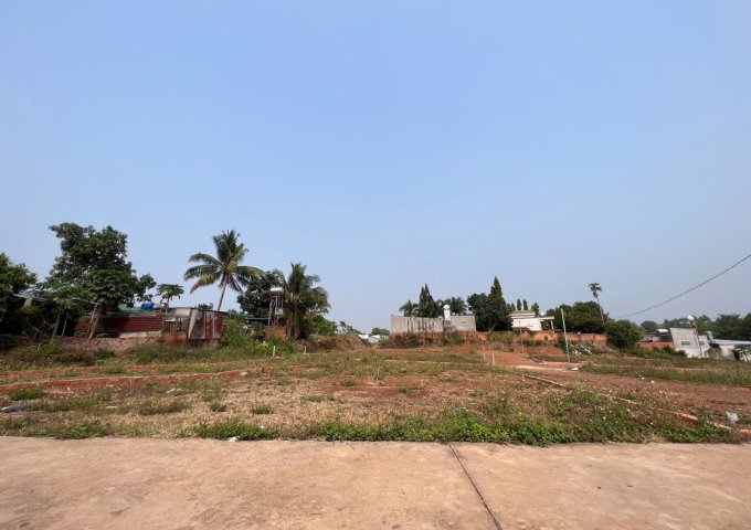  Bán đất tại Đường Quốc lộ 1A, Trảng Bom, Đồng Nai diện tích 100m2 giá 450 Triệu