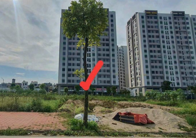  Bán đất KDC Trần Hưng Đạo, TP HD, 101.25m2, mt 5m, đường + hè rộng 17.5m, giá cực tốt