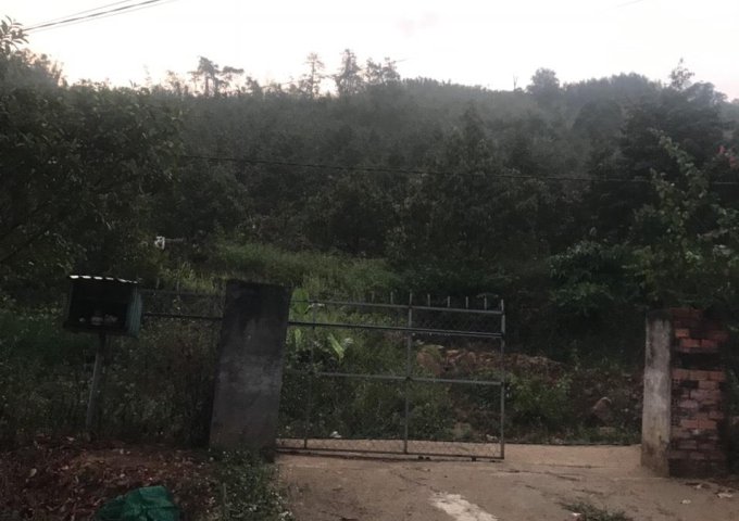 CHÍNH CHỦ CẦN BÁN  Nhanh Lô Đất Đẹp Tại Xã Thành Sơn, Khánh Sơn, Khánh Hoà
