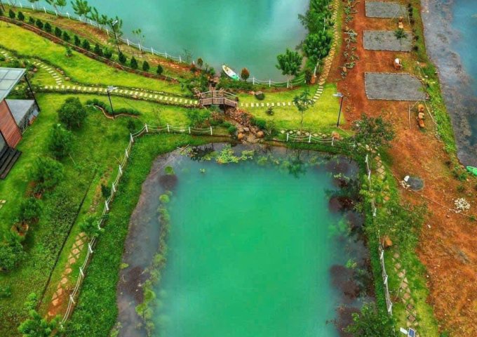 Chú 2 Chuyển Hướng Kinh Doanh Bán Gáp Lô Đất Nghỉ Dưỡng View Đồi Chè Tâm Châu Giá 4tr/m2