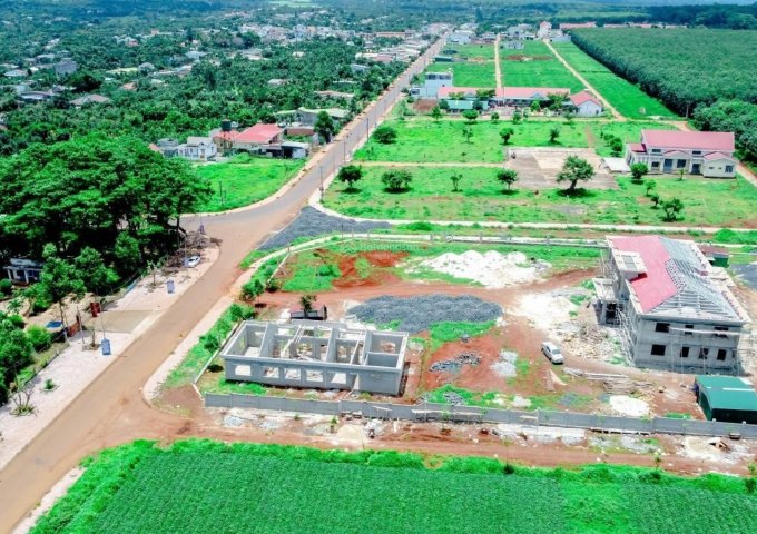 Bán đất đối diện chợ Phú Lộc,Krông Năng,Đắk Lắk giá chỉ 550 triệu/nền 