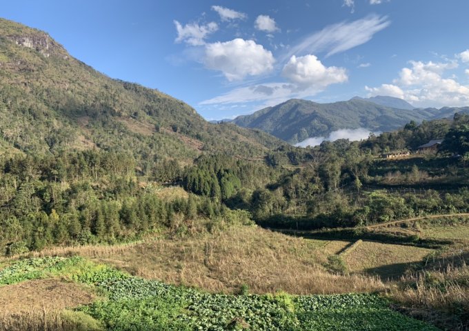 View ruộng bậc thang- săn may rất có tiềm năng Tà Chải-Tả Phìn-SaPa