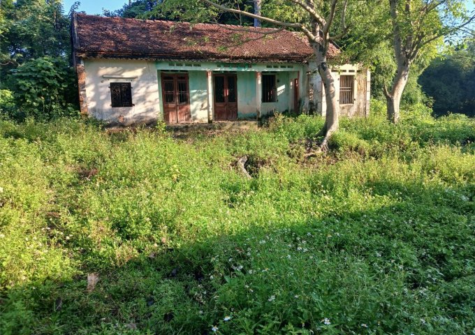 CỰC HIẾM : Gần 1000 m2 đất sát khu công nghiệp dôi dư gần nghìn m tổng 1800 m2 300 TC ngay đường vành đai V cách 100 cách cụm CN Hạnh Phúc Xuân Phương 300m giá có hơn 1 tỷ