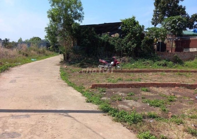 Bán đất tại Đường Quốc lộ 1A, Trảng Bom,  Đồng Nai diện tích 100m2  giá 460 Triệu