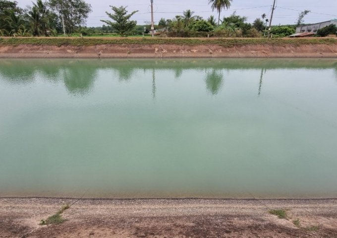 Đất view kênh xanh mát Gò Dầu, oto chạy vi vu - giá 720tr