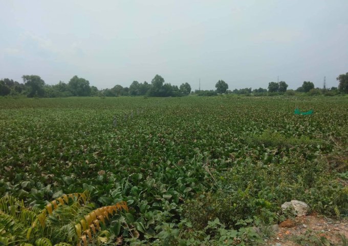 Đất Đỗ Văn Dậy Tân Hiệp Hóc Môn Wien Kênh 10.000m2 Chỉ 39 Tỷ