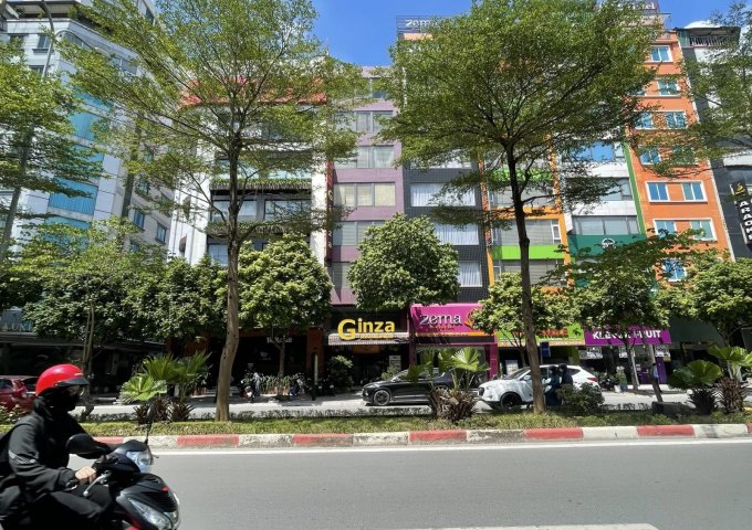 Bán nhà 7 tầng 90m2, MT 6m mặt phố Trần Thái Tông thông sàn, thang máy cho thuê, kinh doanh cực tốt
