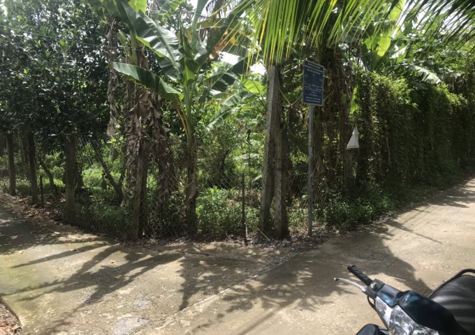 Chính chủ Cần bán gấp Lô Đất 750m2 Mặt tiền đường đan