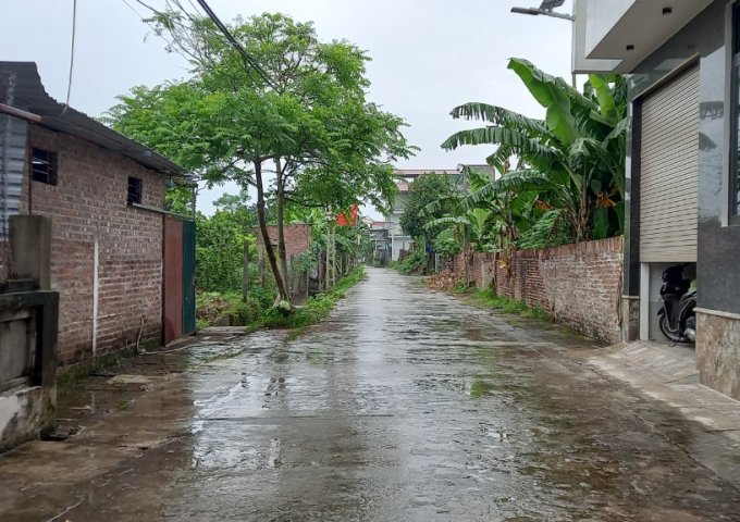 Bán gấp lô đất S= 800 m2, xã Sài Sơn, huyện Quốc Oai, TP Hà Nội