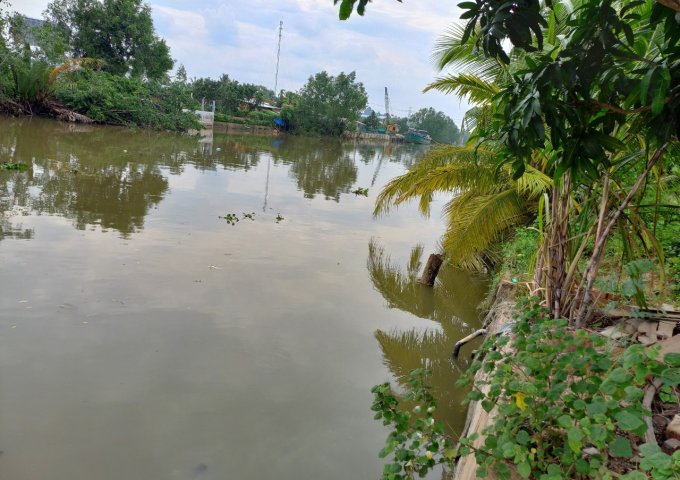 Bán đất xã Phước Hậu, huyện Long Hồ, tỉnh Vĩnh Long.