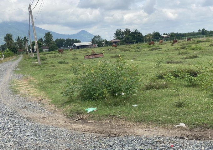 Đất trung tâm Dương Minh Châu Tây Ninh ngang 5 dài 30m giá 530 triệu sổ sẵn chốt gấp