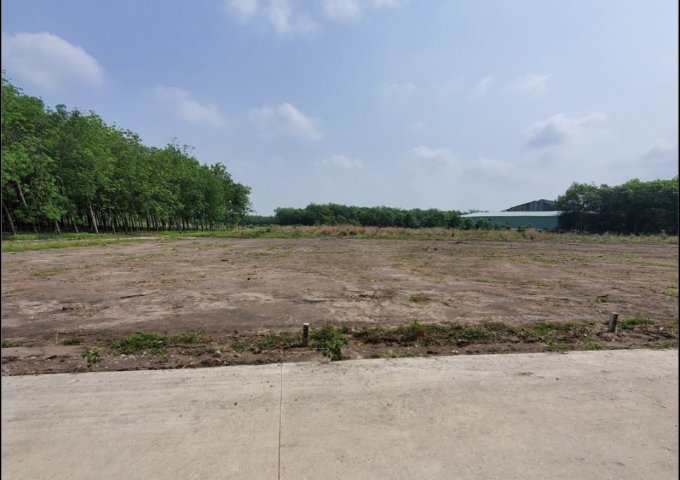 Cần Bán đất thổ cư