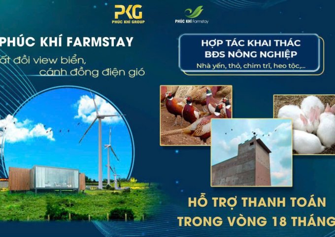 Phúc Khí Farmstay 4200m2 - Hỗ trợ 50% vốn, hợp tác đầu tư chỉ từ 390k/m2