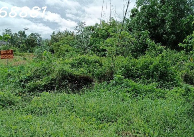 Đất mặt tiền Vị Thanh tỉnh Hậu Giang