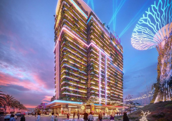 FLAMNIGO HẢI TIẾN HOẰNG HÓA THANH HÓA